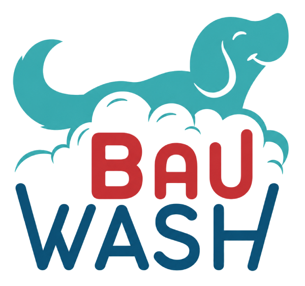 Bauwash